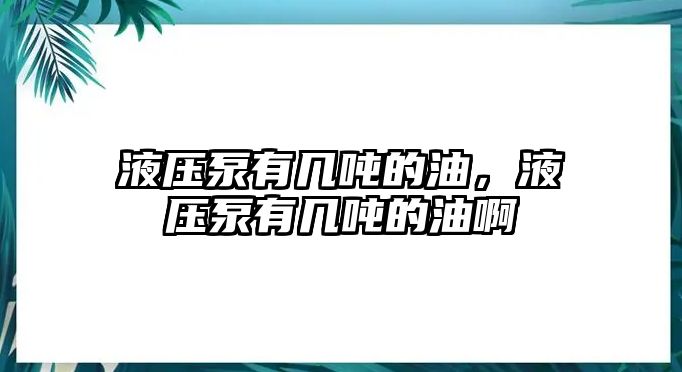 液壓泵有幾噸的油，液壓泵有幾噸的油啊