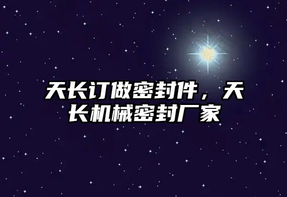 天長訂做密封件，天長機(jī)械密封廠家