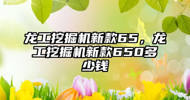 龍工挖掘機新款65，龍工挖掘機新款650多少錢