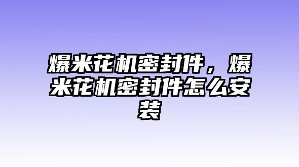 爆米花機(jī)密封件，爆米花機(jī)密封件怎么安裝