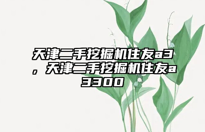 天津二手挖掘機(jī)住友a(bǔ)3，天津二手挖掘機(jī)住友a(bǔ)3300