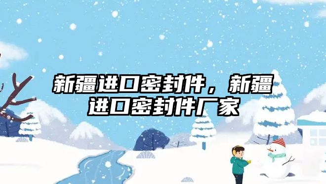 新疆進口密封件，新疆進口密封件廠家