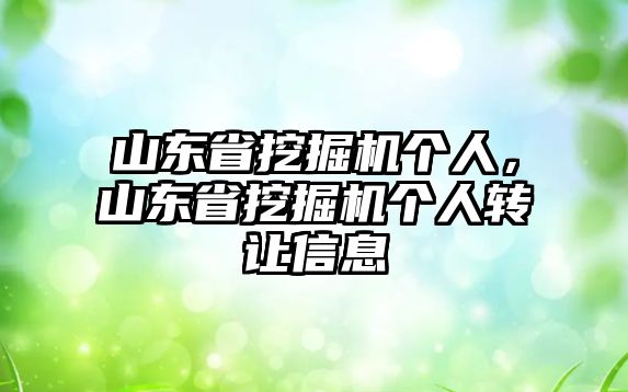 山東省挖掘機(jī)個(gè)人，山東省挖掘機(jī)個(gè)人轉(zhuǎn)讓信息