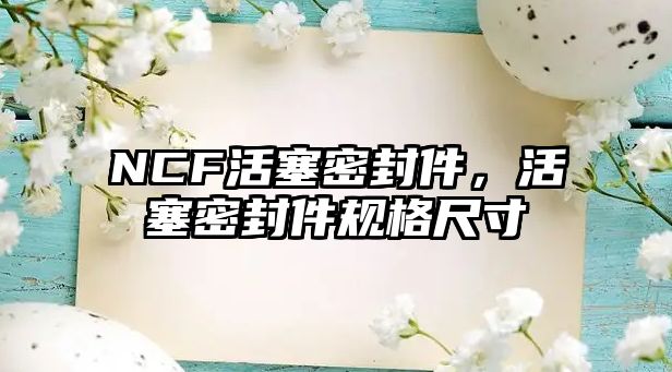 NCF活塞密封件，活塞密封件規(guī)格尺寸