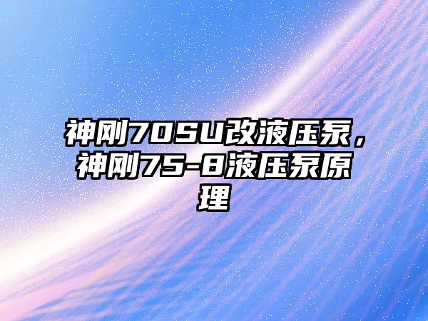 神剛70SU改液壓泵，神剛75-8液壓泵原理