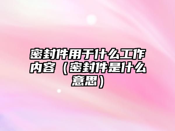 密封件用于什么工作內容（密封件是什么意思）