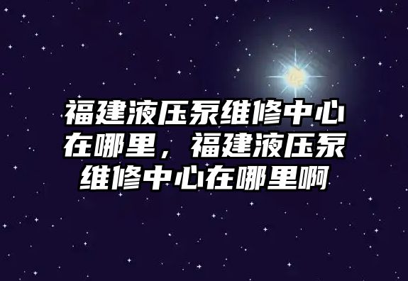 福建液壓泵維修中心在哪里，福建液壓泵維修中心在哪里啊