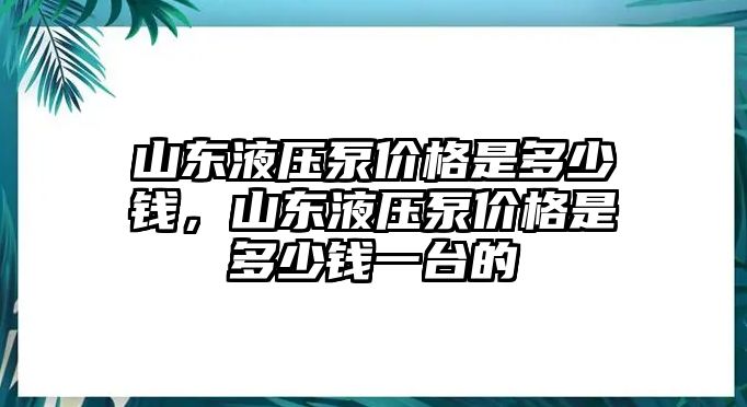 山東液壓泵價(jià)格是多少錢，山東液壓泵價(jià)格是多少錢一臺(tái)的