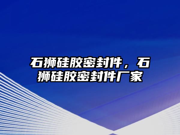 石獅硅膠密封件，石獅硅膠密封件廠家