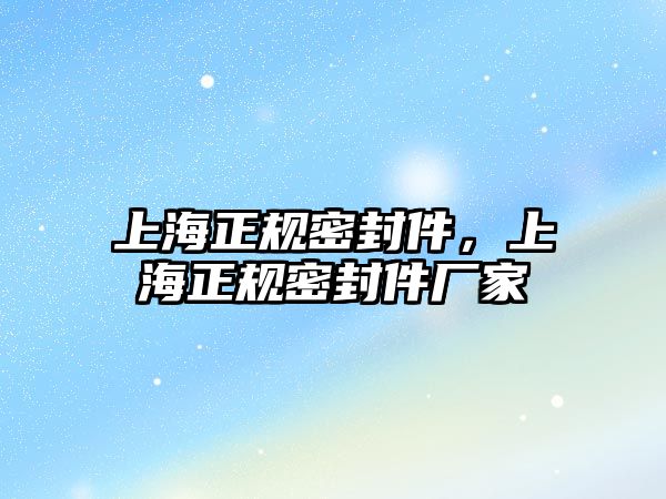 上海正規(guī)密封件，上海正規(guī)密封件廠家