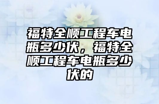 福特全順工程車電瓶多少伏，福特全順工程車電瓶多少伏的