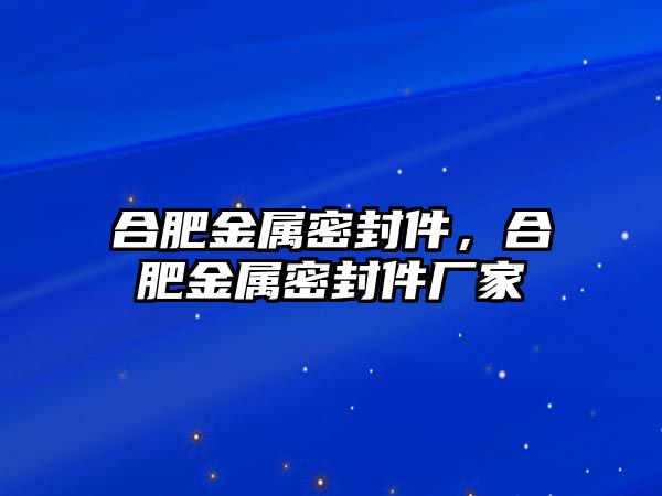 合肥金屬密封件，合肥金屬密封件廠家