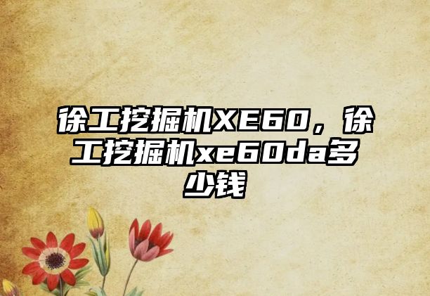 徐工挖掘機XE60，徐工挖掘機xe60da多少錢