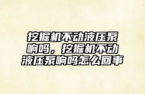 挖掘機不動液壓泵響嗎，挖掘機不動液壓泵響嗎怎么回事