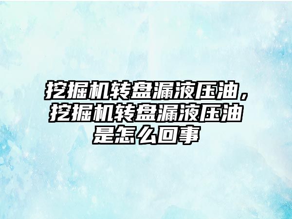 挖掘機轉盤漏液壓油，挖掘機轉盤漏液壓油是怎么回事