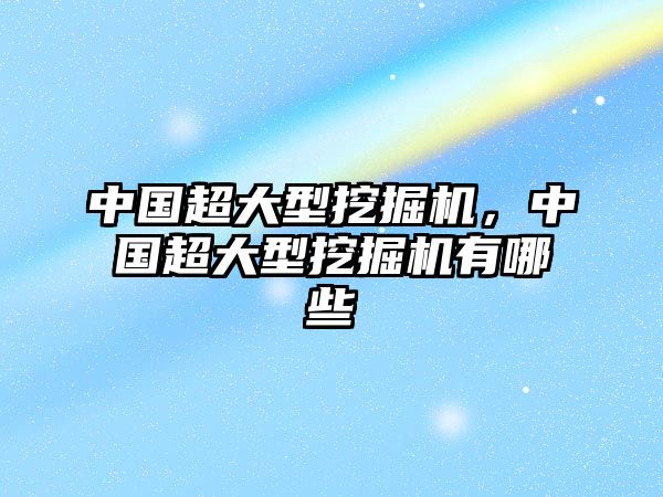 中國(guó)超大型挖掘機(jī)，中國(guó)超大型挖掘機(jī)有哪些