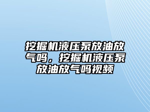 挖掘機(jī)液壓泵放油放氣嗎，挖掘機(jī)液壓泵放油放氣嗎視頻