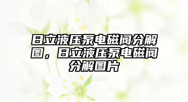 日立液壓泵電磁閥分解圖，日立液壓泵電磁閥分解圖片