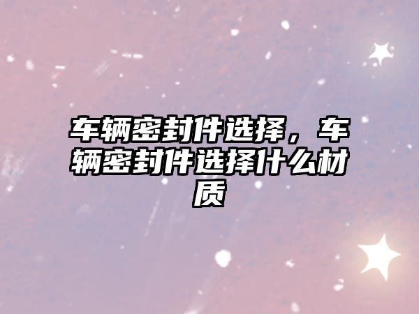 車(chē)輛密封件選擇，車(chē)輛密封件選擇什么材質(zhì)