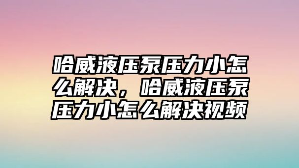 哈威液壓泵壓力小怎么解決，哈威液壓泵壓力小怎么解決視頻