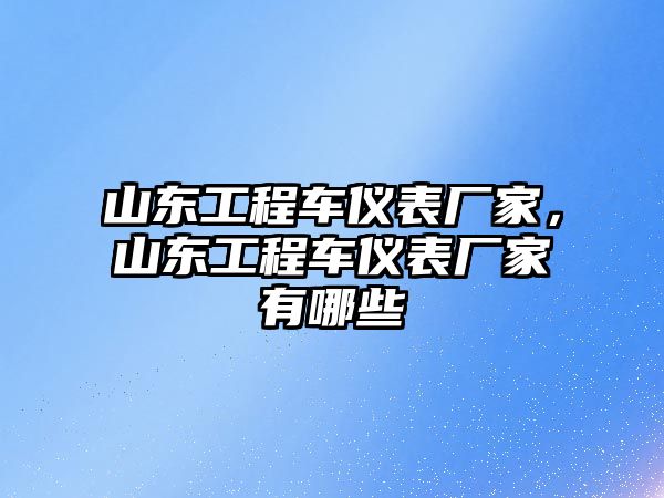 山東工程車儀表廠家，山東工程車儀表廠家有哪些