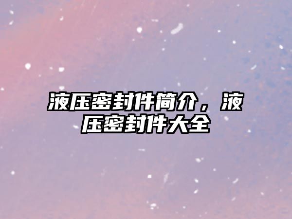 液壓密封件簡(jiǎn)介，液壓密封件大全