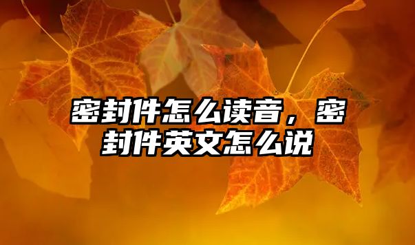 密封件怎么讀音，密封件英文怎么說(shuō)