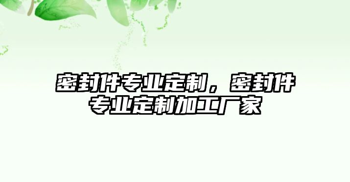 密封件專業(yè)定制，密封件專業(yè)定制加工廠家