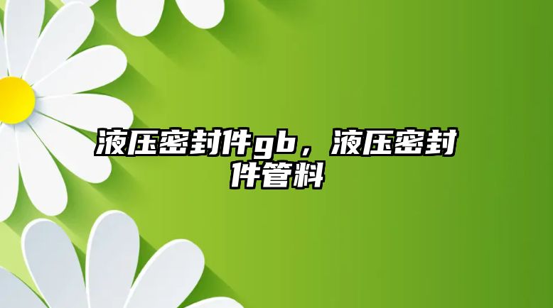 液壓密封件gb，液壓密封件管料