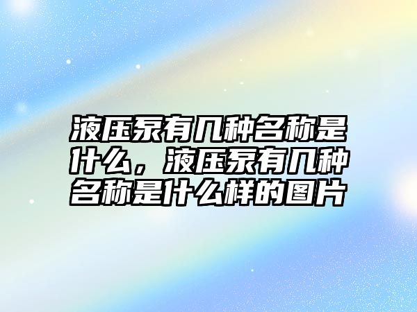 液壓泵有幾種名稱是什么，液壓泵有幾種名稱是什么樣的圖片