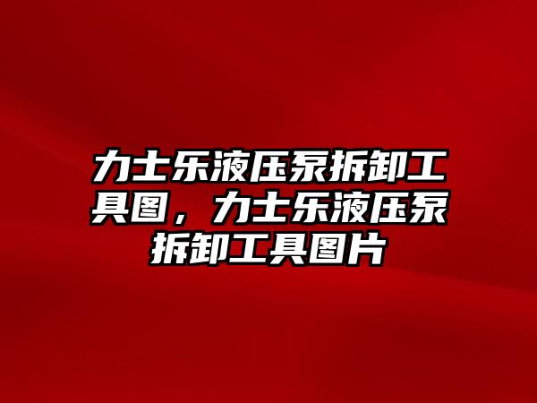 力士樂(lè)液壓泵拆卸工具圖，力士樂(lè)液壓泵拆卸工具圖片