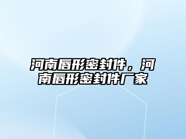 河南唇形密封件，河南唇形密封件廠家