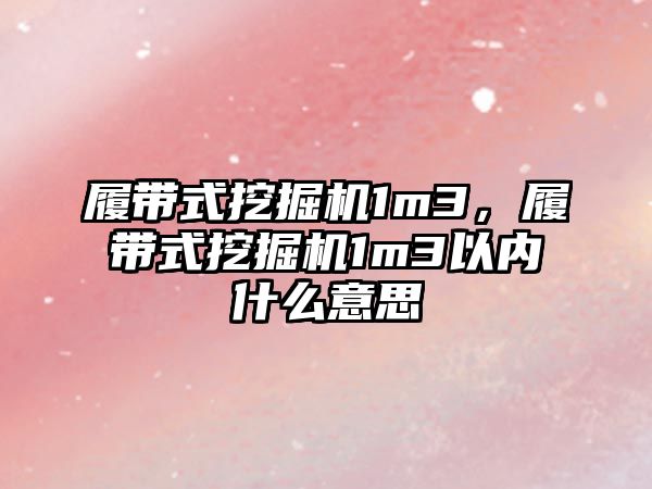 履帶式挖掘機1m3，履帶式挖掘機1m3以內什么意思