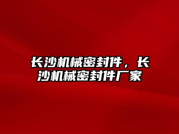 長沙機械密封件，長沙機械密封件廠家