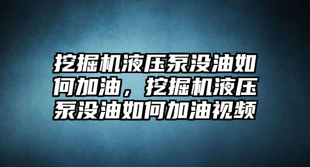 挖掘機(jī)液壓泵沒(méi)油如何加油，挖掘機(jī)液壓泵沒(méi)油如何加油視頻