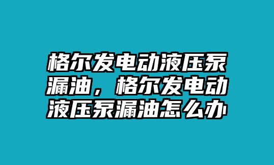 格爾發(fā)電動(dòng)液壓泵漏油，格爾發(fā)電動(dòng)液壓泵漏油怎么辦