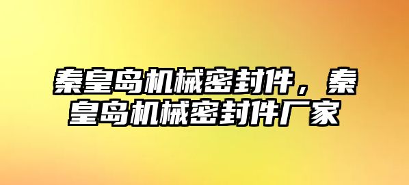 秦皇島機械密封件，秦皇島機械密封件廠家