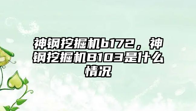 神鋼挖掘機b172，神鋼挖掘機B103是什么情況