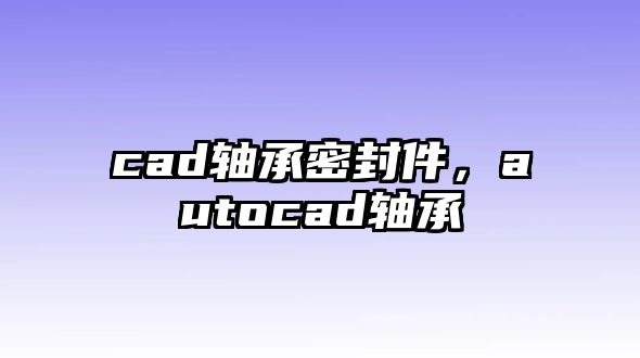 cad軸承密封件，autocad軸承