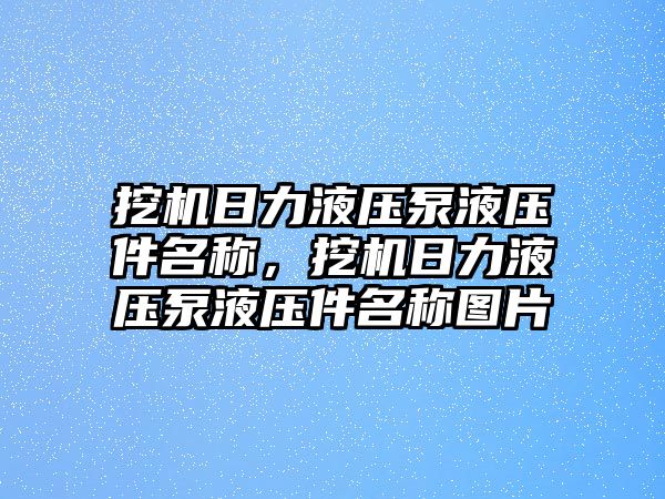 挖機(jī)日力液壓泵液壓件名稱(chēng)，挖機(jī)日力液壓泵液壓件名稱(chēng)圖片