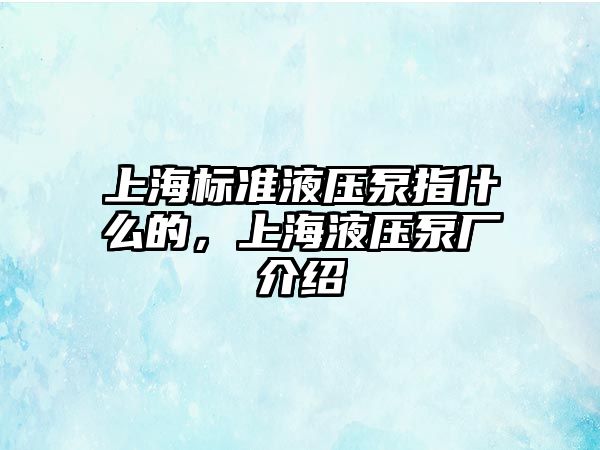 上海標(biāo)準液壓泵指什么的，上海液壓泵廠介紹